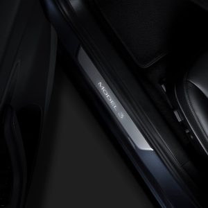 2017-2023 | Model 3 Illuminated Door Sills