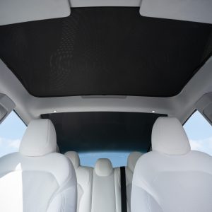 Model 3 Sunshades